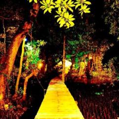 Pacific Treelodge Resort in Kosrae, Federated States of Micronesia from 159$, photos, reviews - zenhotels.com entertainment photo 2