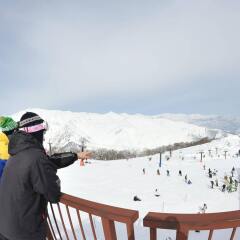 Hakuba Park Hotel Хакуба приотельная территория