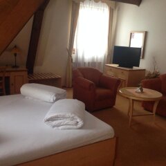 Hotel Zlaty Lev Яблонец-над-Нисой комната для гостей фото 3