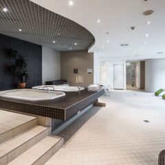 Отель Wyndham Garden Dresden спа