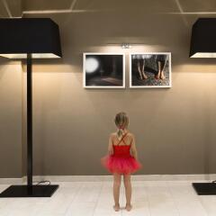 Отель BW Premier Collection The Harmonie Vienna гостиничный бар