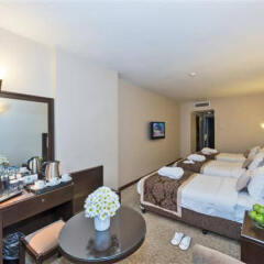Golden Age Hotel Турция, Стамбул - 4 отзыва об отеле, цены и фото номеров - забронировать отель Golden Age Hotel онлайн удобства в номере фото 2