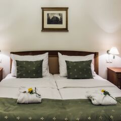 Hotel Dvorak Cesky Krumlov Чешский Крумлов фото 10