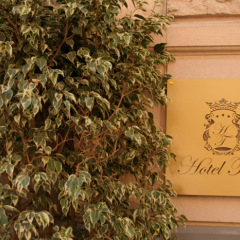 Hotel Tonic фото 3