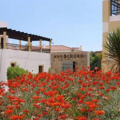 Отель Novochoro Apartments Португалия, Албуфейра - отзывы, цены и фото номеров - забронировать отель Novochoro Apartments онлайн помещение для мероприятий