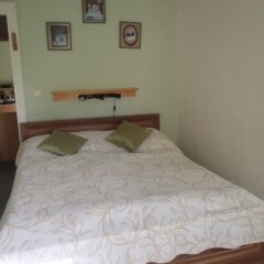 Отель Penzion Villa Marion сейф в номере