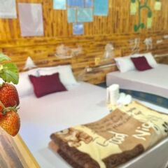 Отель Homestay Nha Toi 3 Далат комната для гостей