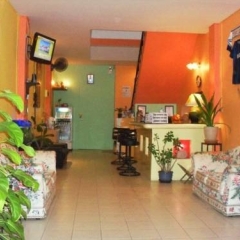 Отель B & L Guesthouse интерьер отеля фото 3