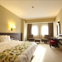 Gazelle Resort & Spa Турция, Болу - отзывы, цены и фото номеров - забронировать отель Gazelle Resort & Spa онлайн комната для гостей фото 3