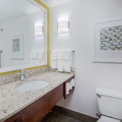 Отель Hilton Garden Inn Orange Beach ванная фото 2