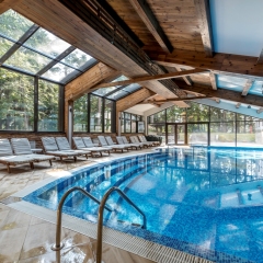 Отель Lion Borovets Боровец бассейн фото 3