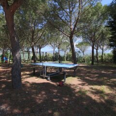 Отель Farmhouse With Pool and Large Garden, 50 Acres of Vineyards, Wine Tasting Ареццо фото 8