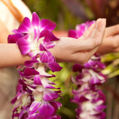 Отель Waikiki Beachcomber by Outrigger спа