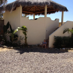 tropicales zenhotels