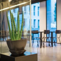 Отель Antwerp Central Youth Hostel Бельгия, Антверпен - отзывы, цены и фото номеров - забронировать отель Antwerp Central Youth Hostel онлайн гостиничный бар