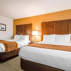 Отель Comfort Inn комната для гостей