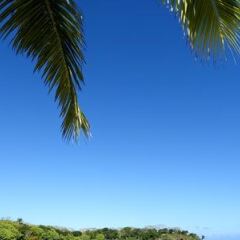 Отель InterContinental Fiji Golf Resort & Spa Фиджи, Вити-Леву - отзывы, цены и фото номеров - забронировать отель InterContinental Fiji Golf Resort & Spa онлайн фото 4