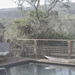 Отель Addo Elephant Back Safaris and Lodge Южная Африка, Аддо - отзывы, цены и фото номеров - забронировать отель Addo Elephant Back Safaris and Lodge онлайн бассейн фото 3