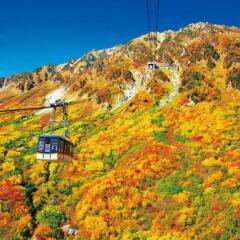 Hotel Morinokaze Tateyama Тояма фото 2