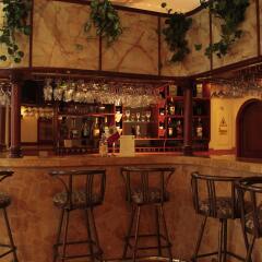 Manhattan Inn Airport Hotel гостиничный бар