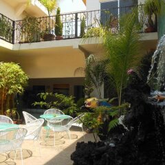 Отель Hostal Centro Historico Oasis Мехико бассейн фото 3