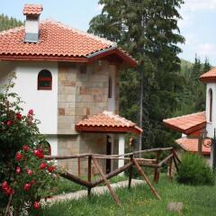 Отель Villas & SPA at Pamporovo Village фото 2