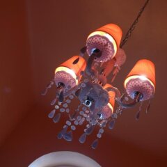 Early Bird Hotel Вена развлечения
