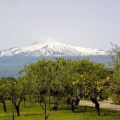 Отель Holiday Club Naxos Джардини Наксос приотельная территория