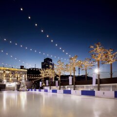 Отель Banyan Tree Club & Spa Seoul Южная Корея, Сеул - отзывы, цены и фото номеров - забронировать отель Banyan Tree Club & Spa Seoul онлайн фото 12