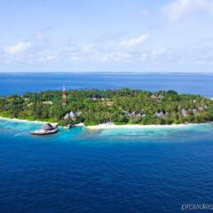 Отель Bandos Maldives Мальдивы, Бандос Айленд - 12 отзывов об отеле, цены и фото номеров - забронировать отель Bandos Maldives онлайн фото 6