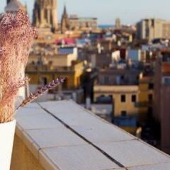 Отель HCC MontBlanc Испания, Барселона - 11 отзывов об отеле, цены и фото номеров - забронировать отель HCC MontBlanc онлайн фото 3