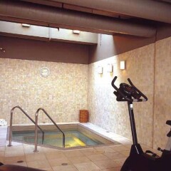 Отель The Listel Hotel Vancouver Канада, Ванкувер - отзывы, цены и фото номеров - забронировать отель The Listel Hotel Vancouver онлайн бассейн фото 2