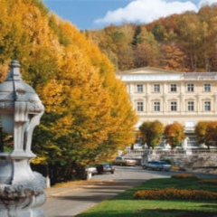 Отель Parkhotel Richmond Карловы Вары фото 11