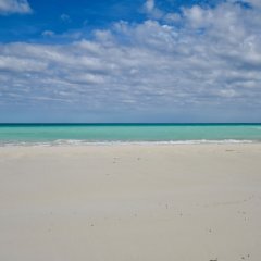 Nathan's Lodge in South Andros, Bahamas from 206$, photos, reviews - zenhotels.com beach