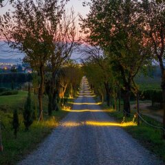 Отель Agriturismo Il Palazzo Ареццо фото 19