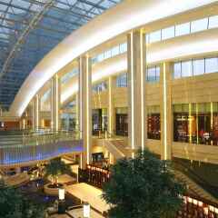 Отель Hilton Guangzhou Science City Гуанчжоу бассейн фото 2