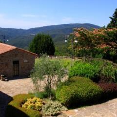 Отель Agriturismo Ca Lucano Ареццо фото 5