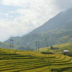 Sapa Glory Hotel фото 3