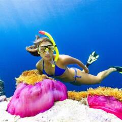 Отель Sheraton Maldives Full Moon Resort & Spa спортивное сооружение