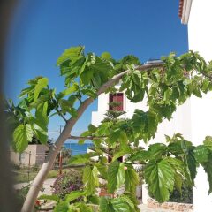 Отель Laza Beach фото 5