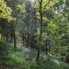 Отель Camping Village Montescudaio Монтескудаио приотельная территория фото 2
