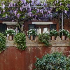 Отель Locanda Fiorita Италия, Венеция - отзывы, цены и фото номеров - забронировать отель Locanda Fiorita онлайн фото 8