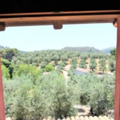Отель I Giardini Di Margius Италия, Итри - отзывы, цены и фото номеров - забронировать отель I Giardini Di Margius онлайн фото 12