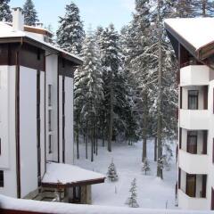 Отель Flora hotel Болгария, Боровец - отзывы, цены и фото номеров - забронировать отель Flora hotel онлайн балкон