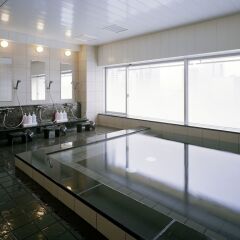 Отель Mitsui Garden Hotel Shiodome Italia-gai Япония, Токио - 1 отзыв об отеле, цены и фото номеров - забронировать отель Mitsui Garden Hotel Shiodome Italia-gai онлайн бассейн