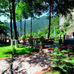 Akyuz Kardesler Hotel & Bungalow Турция, Узунгёль - отзывы, цены и фото номеров - забронировать отель Akyuz Kardesler Hotel & Bungalow онлайн фото 13