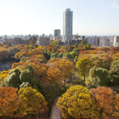 Отель Hyatt Regency Tokyo Токио фото 5