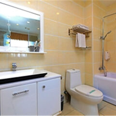 Capital Airport International Hotel ванная