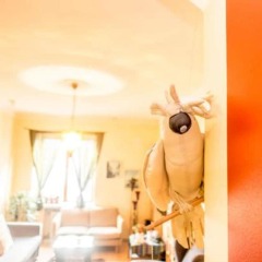 Отель WeHost Kapteeninkatu 26 Финляндия, Хельсинки - отзывы, цены и фото номеров - забронировать отель WeHost Kapteeninkatu 26 онлайн ванная фото 2