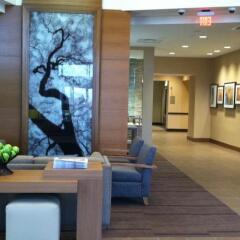 Отель Hyatt Place Detroit/Novi фото 5